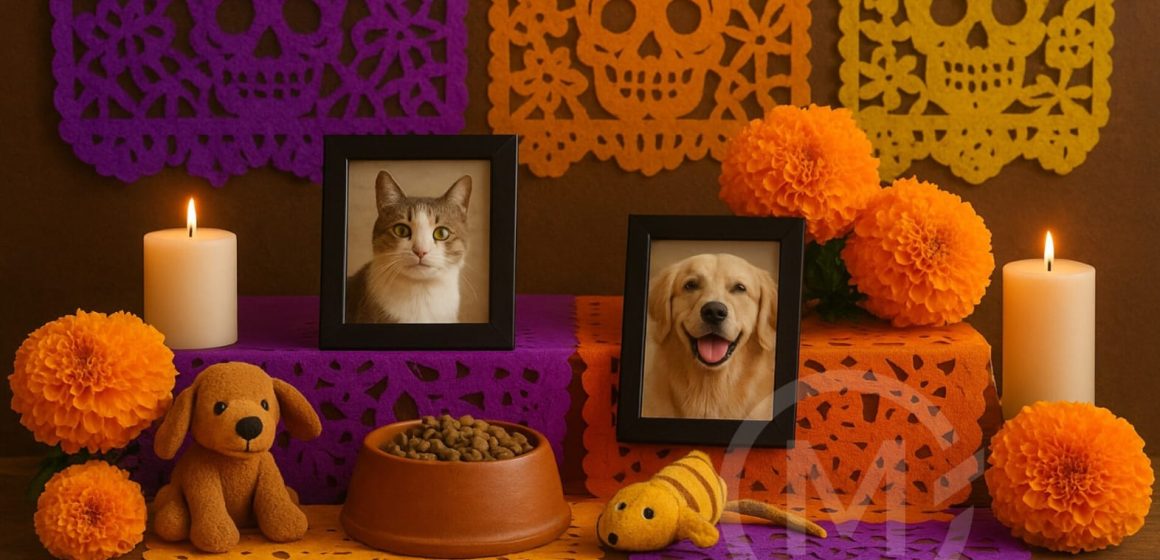 Ofrenda mascotas Día de Muertos: ¿Cuándo y cómo recibir a tu mascota en la ofrenda?