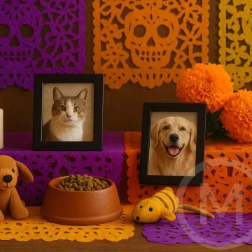 Día de Muertos: ¿Cuándo y cómo recibir a tu mascota en la ofrenda?