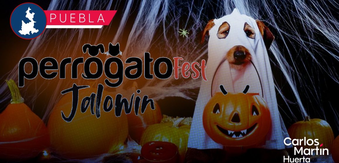 Perrogato Fest 2025 invita a su Halloween para apoyar a animales en situación de calle