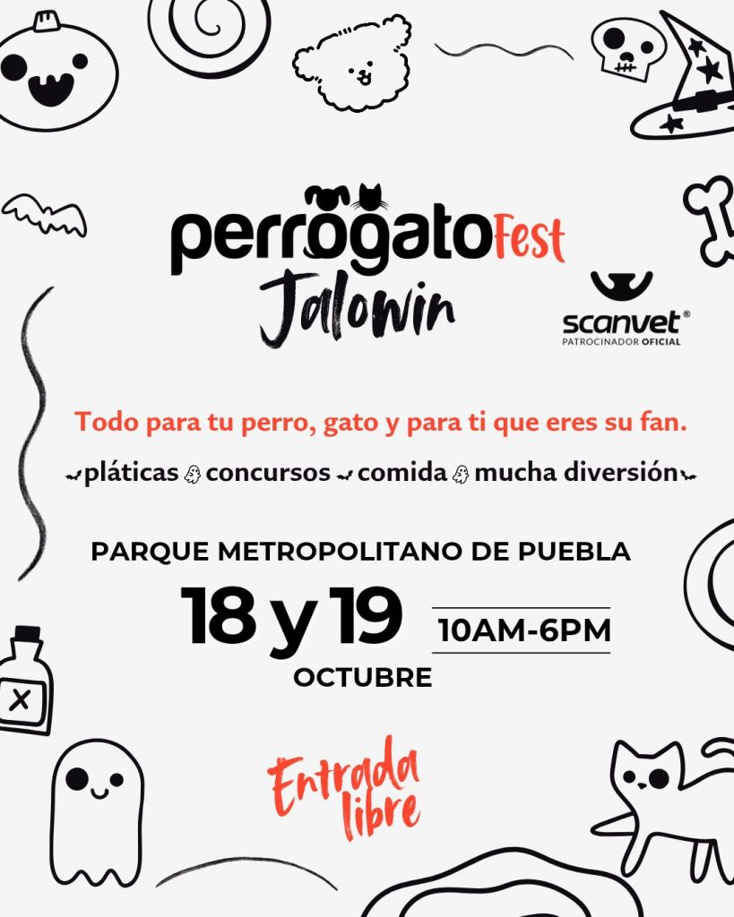 Perrogato Fest 2025 invita a su Halloween para apoyar a animales en situación de calle