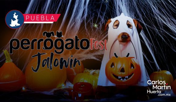 Perrogato Fest 2025 invita a su Halloween para apoyar a animales en situación de calle