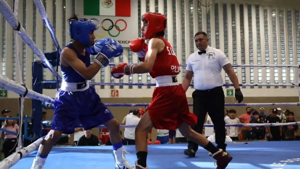 Puebla brilla en el Festival Olímpico de Boxeo 2025 con tres medallas 1 Puebla brilla en el Festival Olímpico de Boxeo 2025 con tres medallas