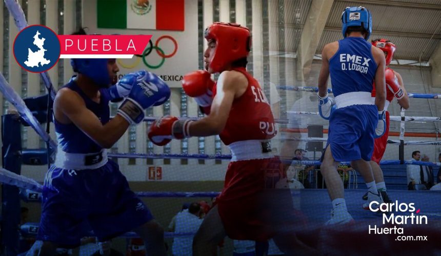 Puebla brilla en el Festival Olímpico de Boxeo 2025 con tres medallas