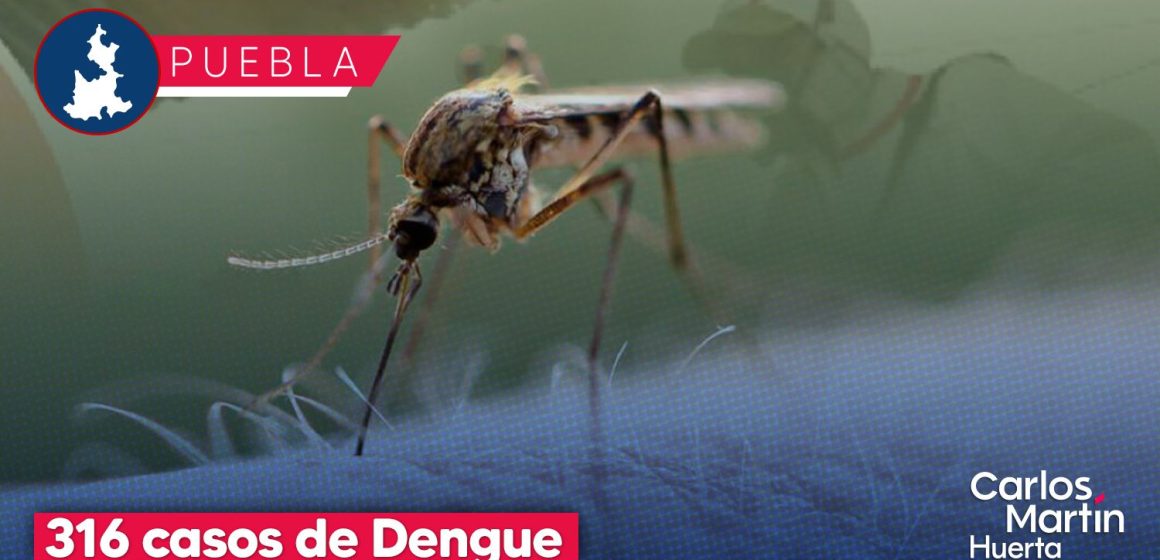 Puebla refuerza operativos contra el dengue ante 316 casos registrados