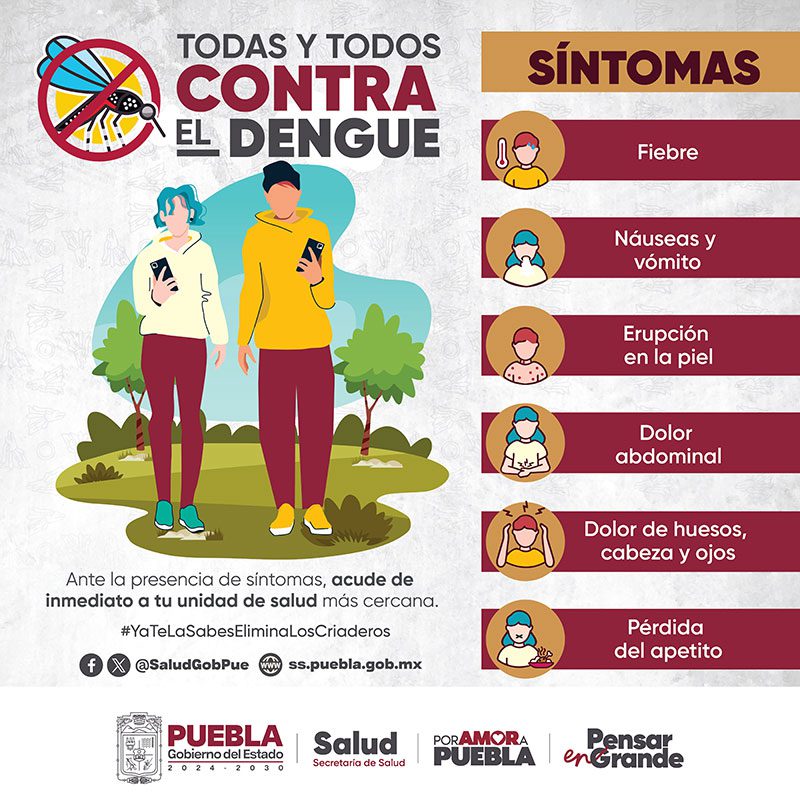 Puebla refuerza operativos contra el dengue ante 316 casos registrados 2 Puebla refuerza operativos contra el dengue ante 316 casos registrados 3