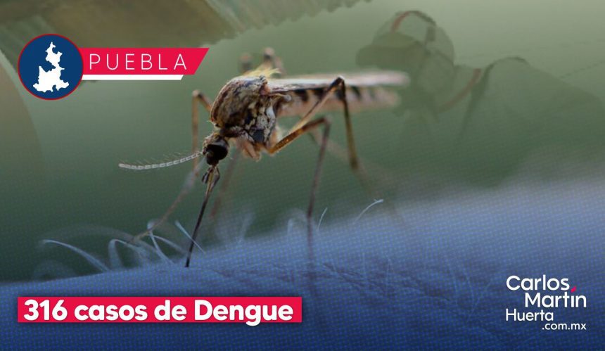 Puebla refuerza operativos contra el dengue ante 316 casos registrados
