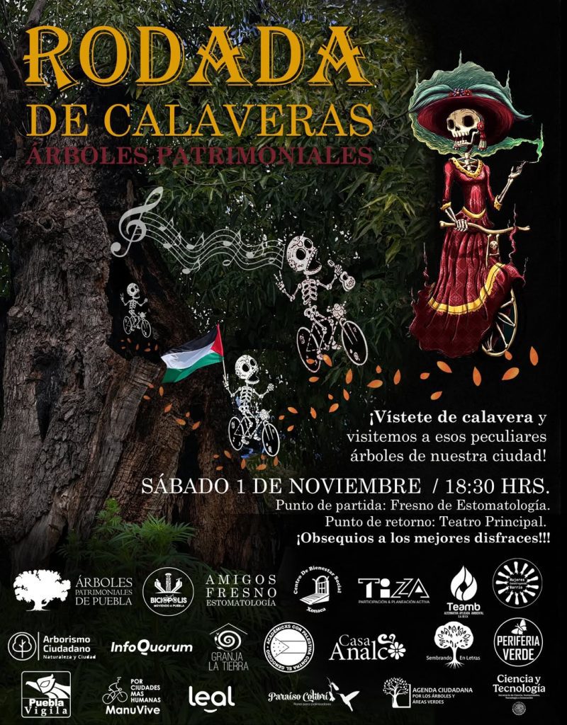 Puebla se ilumina con la Rodada de Calaveras por los Árboles Patrimoniales 2025 1 Puebla se ilumina con la Rodada de Calaveras por los Árboles Patrimoniales 2025