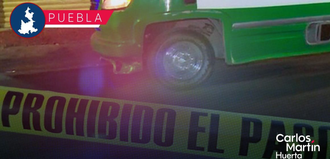 Ruta 68 atropella a perrito en Bosques de San Sebastián; dueños exigen justicia