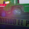 Ruta 68 atropella a perrito en Bosques de San Sebastián; dueños exigen justicia