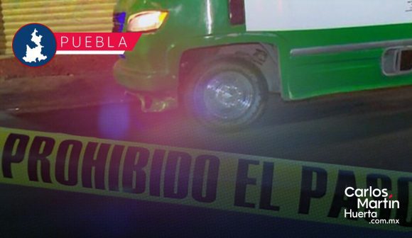 Ruta 68 atropella a perrito en Bosques de San Sebastián; dueños exigen justicia