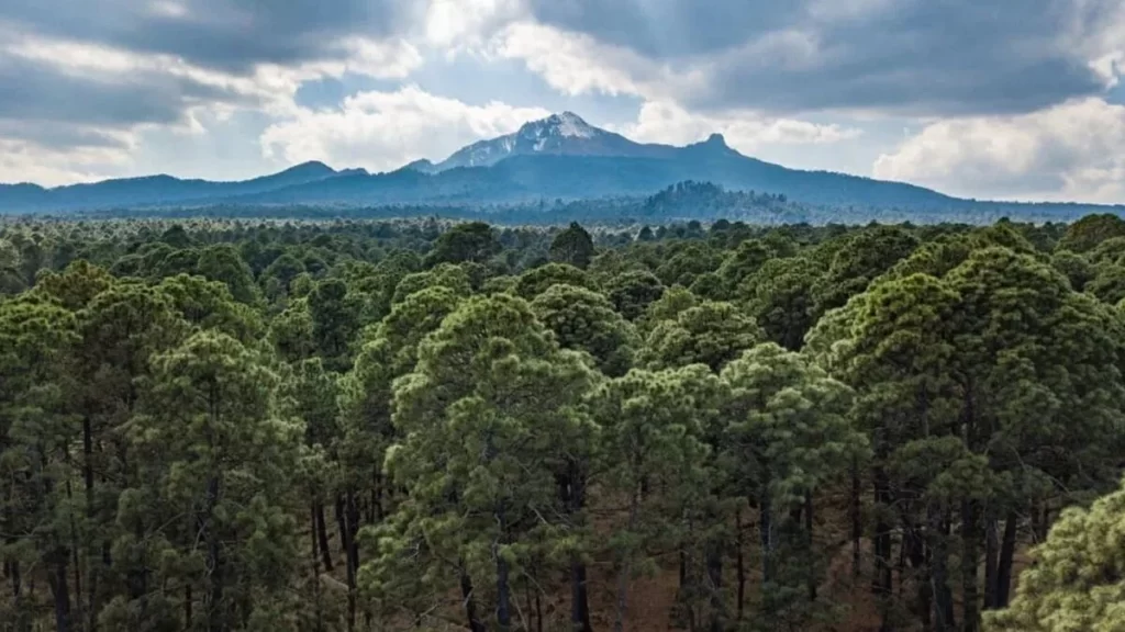 Semarnat concede permisos para la construcción del Ecoparque Tlalli-Malinche 