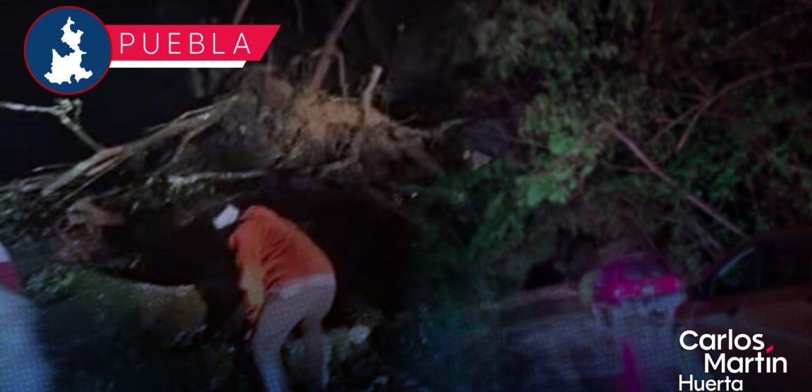 Tragedia en la Sierra Norte: Confirman tres muertes y cinco desaparecidos por deslaves en Puebla