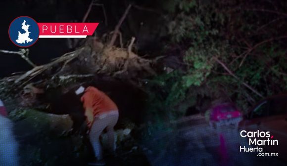 Tragedia en la Sierra Norte: Confirman tres muertes y cinco desaparecidos por deslaves en Puebla