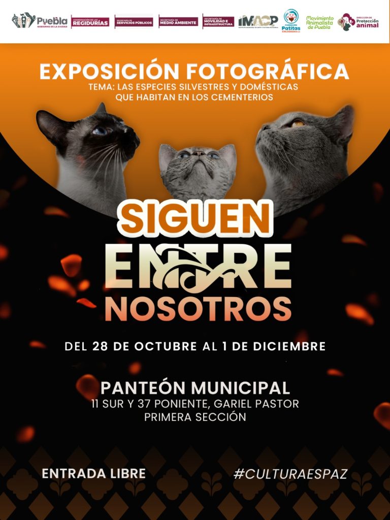 'Siguen entre nosotros': Inauguran exposición fotográfica en el Panteón Municipal de Puebla 1 'Siguen entre nosotros': Inauguran exposición fotográfica en el Panteón Municipal de Puebla