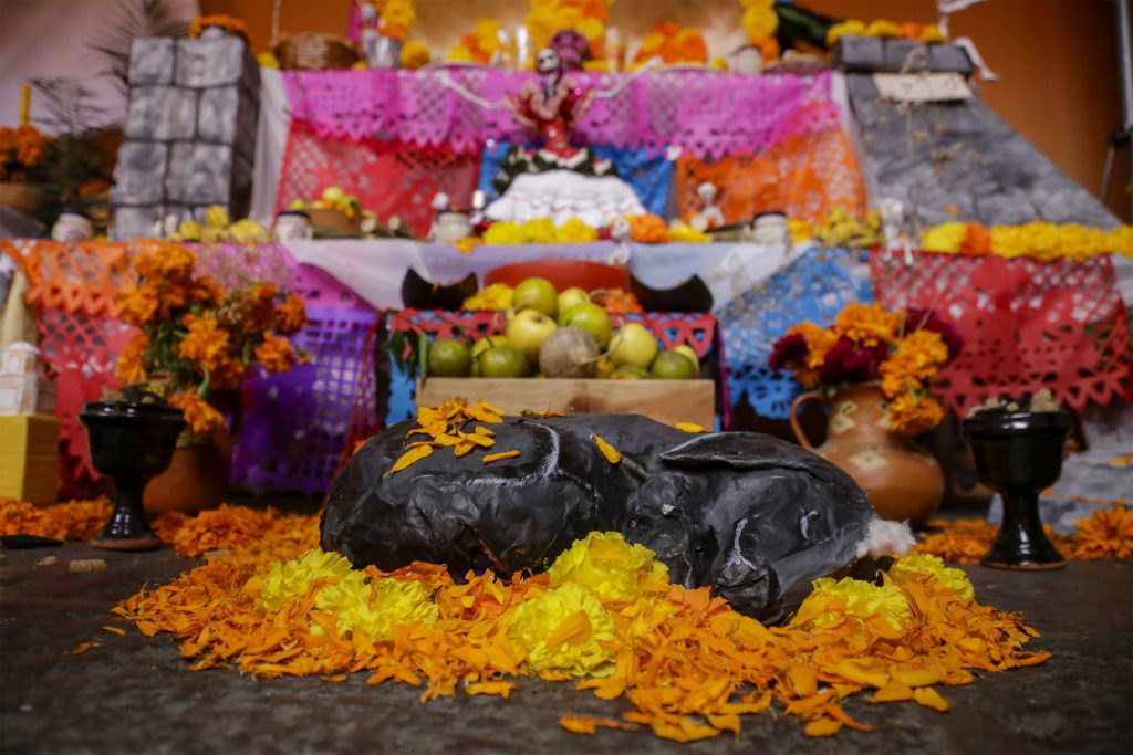 ¡Vuelven a Casa! Día de Muertos; herencia viva que da identidad a México 3 casa de cultura ofrendas 649859