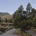 Ecoparque Tlalli Malinche no será “Disneyland”, sino un proyecto inclusivo: Alejandro Armenta