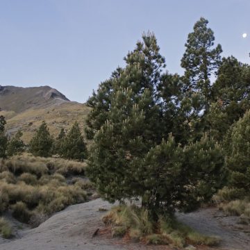 la-malinche-464242 Ecoparque Tlalli Malinche no será “Disneyland”, sino un proyecto inclusivo: Alejandro Armenta