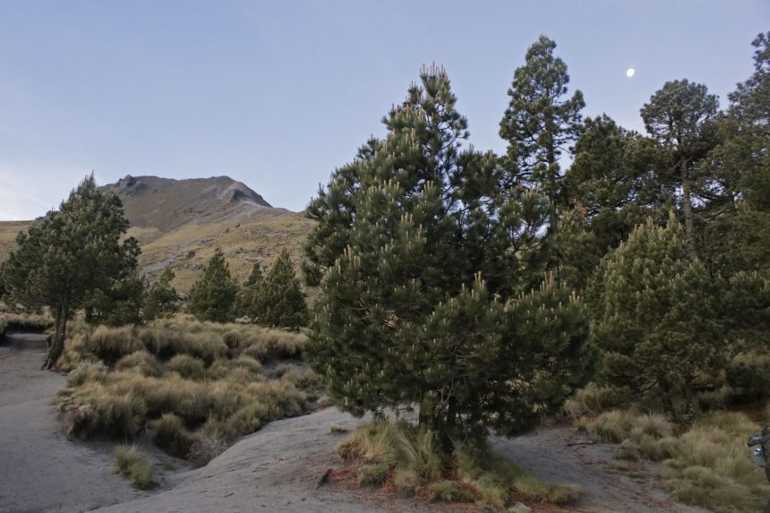 Ecoparque Tlalli Malinche no será “Disneyland”, sino un proyecto inclusivo: Alejandro Armenta