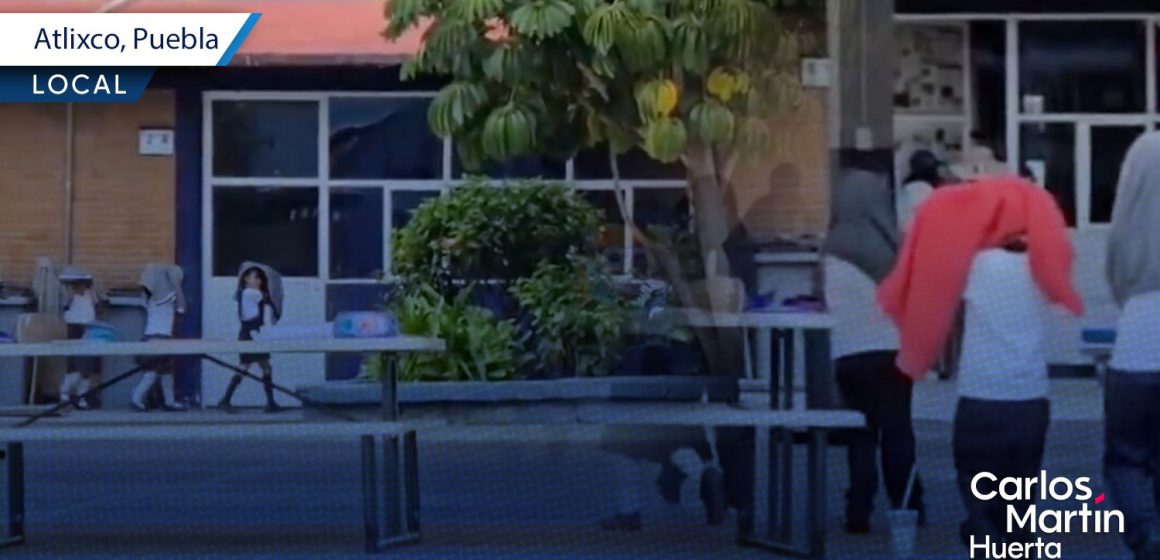 ¡Alerta en primaria de Atlixco! Enjambre de abejas ataca a la comunidad educativa