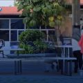 ¡Alerta en primaria de Atlixco! Enjambre de abejas ataca a la comunidad educativa