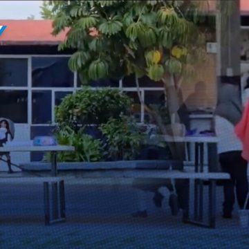 ¡Alerta en primaria de Atlixco! Enjambre de abejas ataca a la comunidad educativa