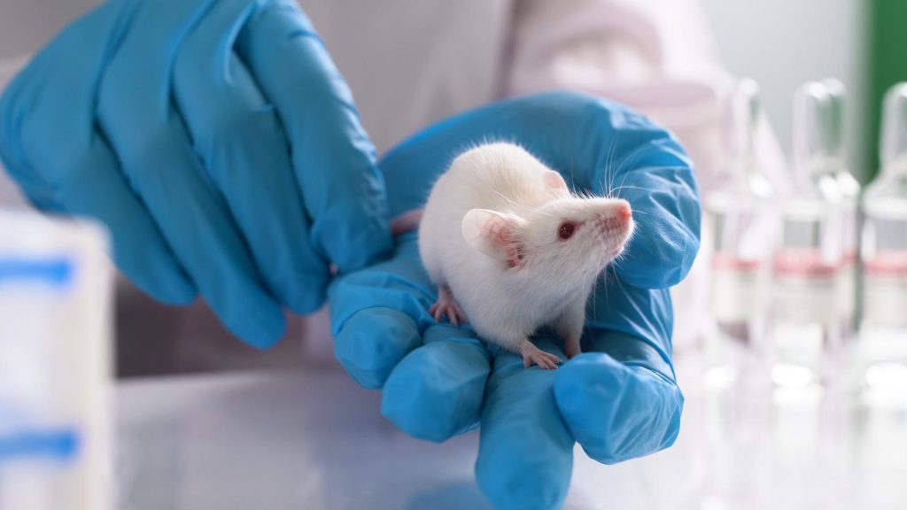 ¡Avance histórico! Nanotecnología revierte el Alzheimer en ratones