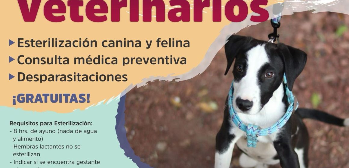 3dabcf9d-1792-4ed7-80dc-00448c3f188a Impulsan jornadas veterinarias gratuitas en Atlixco