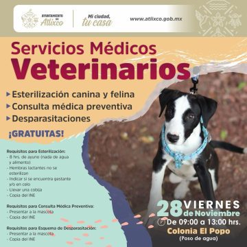 3dabcf9d-1792-4ed7-80dc-00448c3f188a Impulsan jornadas veterinarias gratuitas en Atlixco