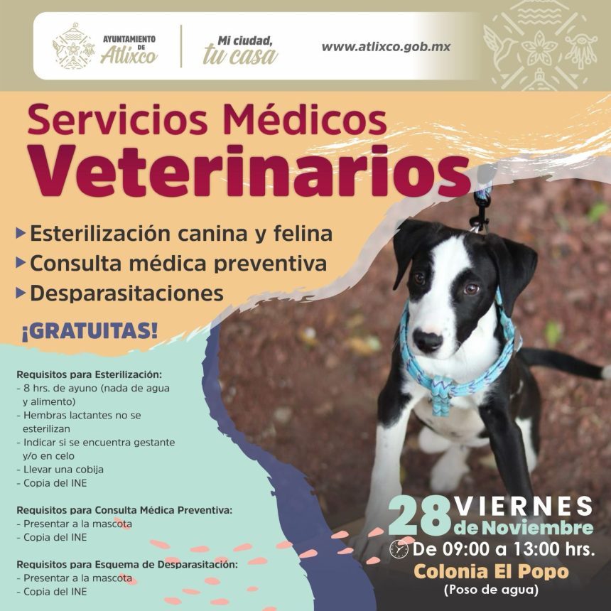 Impulsan jornadas veterinarias gratuitas en Atlixco