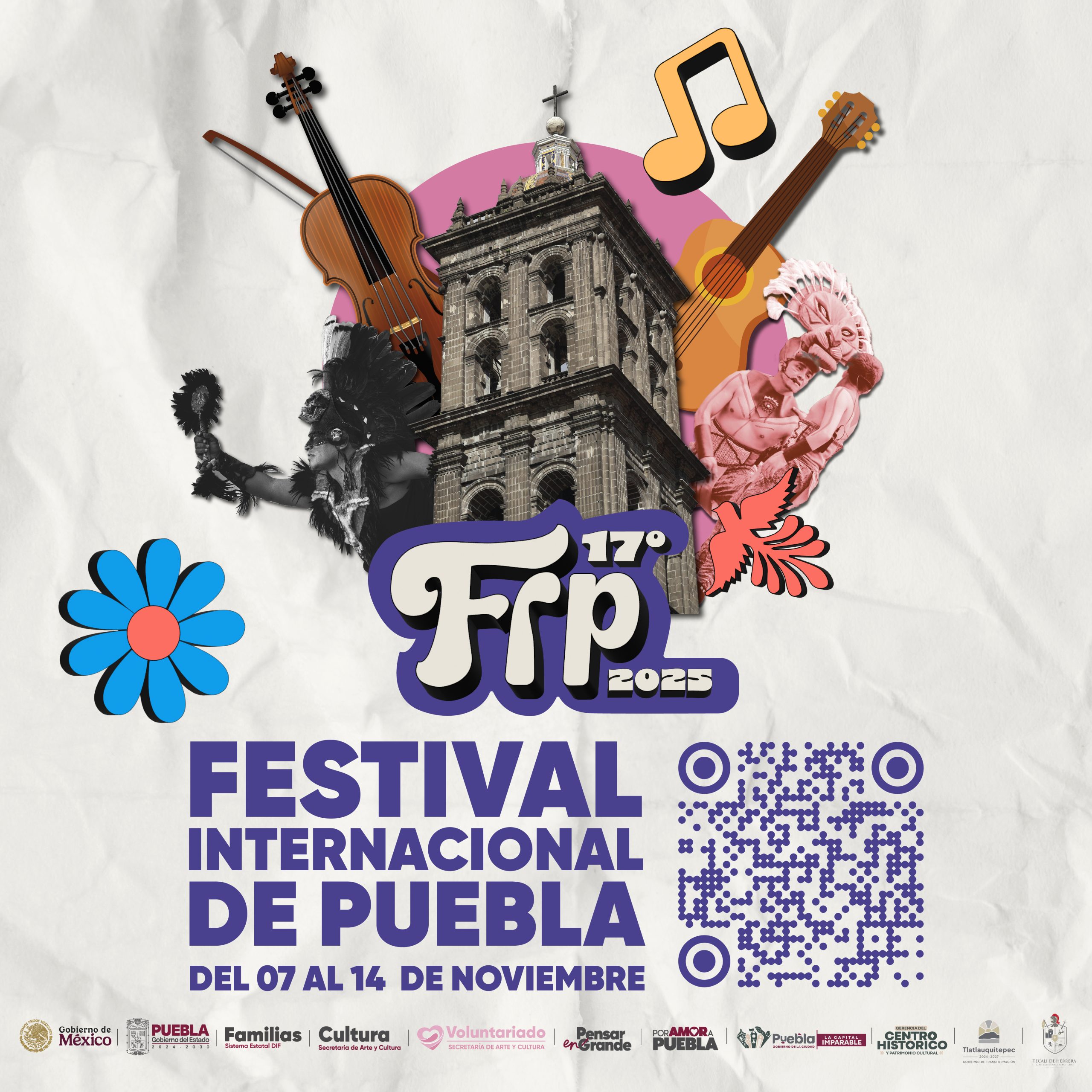 800 x 800 FIP scaled