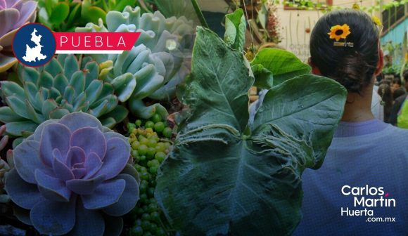 Anuncian la novena edición del Plant Fest Puebla 2025