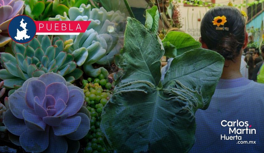 Anuncian la novena edición del Plant Fest Puebla 2025