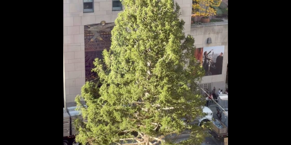 Árbol navidad - Rockefeller Center El árbol de navidad del Rockefeller Center arriba a Nueva York