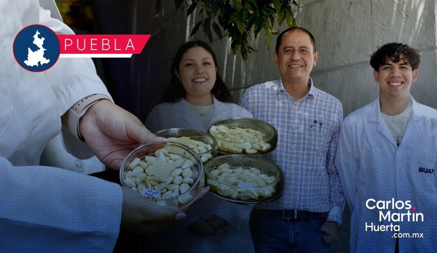 BUAP desarrolla antimicrobianos naturales contra el hongo tóxico del maíz