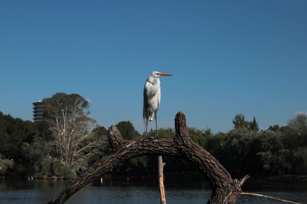 Convocan al concurso fotografico Miradas de Nuestra Tierra 3