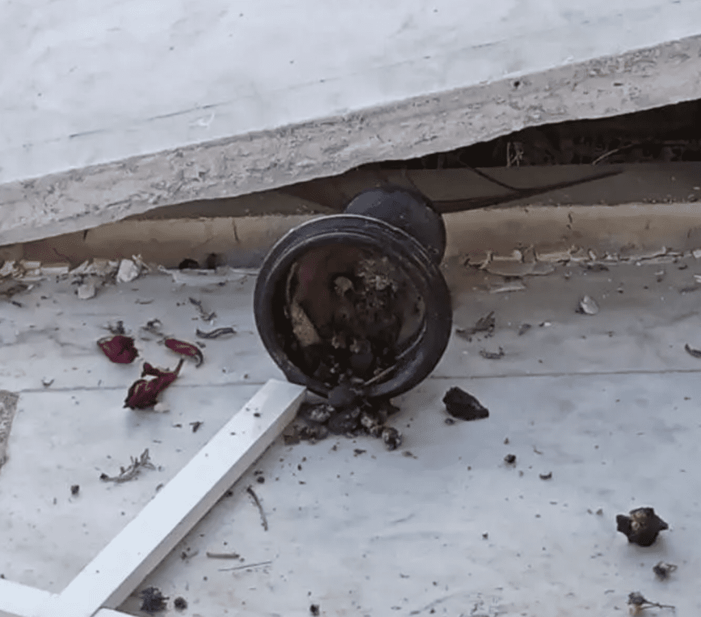 Detienen a hombre por causar destrozos en el Panteón de San Lucas Atoyatenco 1 Detienen a hombre por causar destrozos en el Panteón de San Lucas Atoyatenco