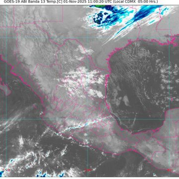 Clima: Ingresa el frente frío número 12 con marcado descenso de temperatura y vientos