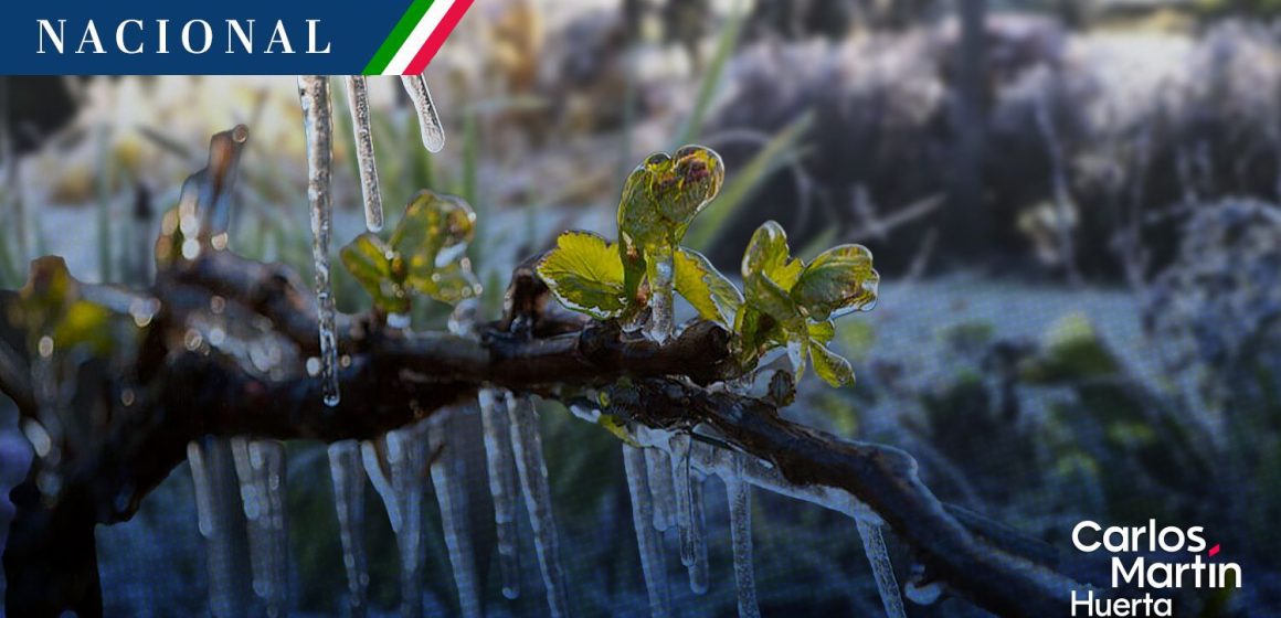 Heladas - Frío Continuará ambiente frío con posibles heladas en estados de la Mesa del Norte y Mesa Central