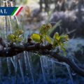 Continuará ambiente frío con posibles heladas en estados de la Mesa del Norte y Mesa Central