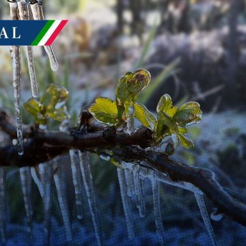 Heladas - Frío Continuará ambiente frío con posibles heladas en estados de la Mesa del Norte y Mesa Central