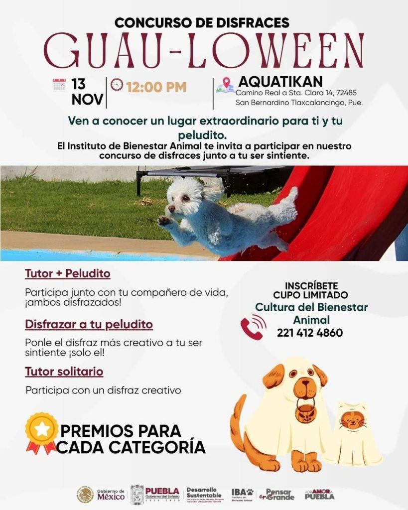IBA invita a participar en su concurso de disfraces "Guau-loween 2025" 1 IBA invita a participar en su concurso de disfraces "Guau-loween 2025"