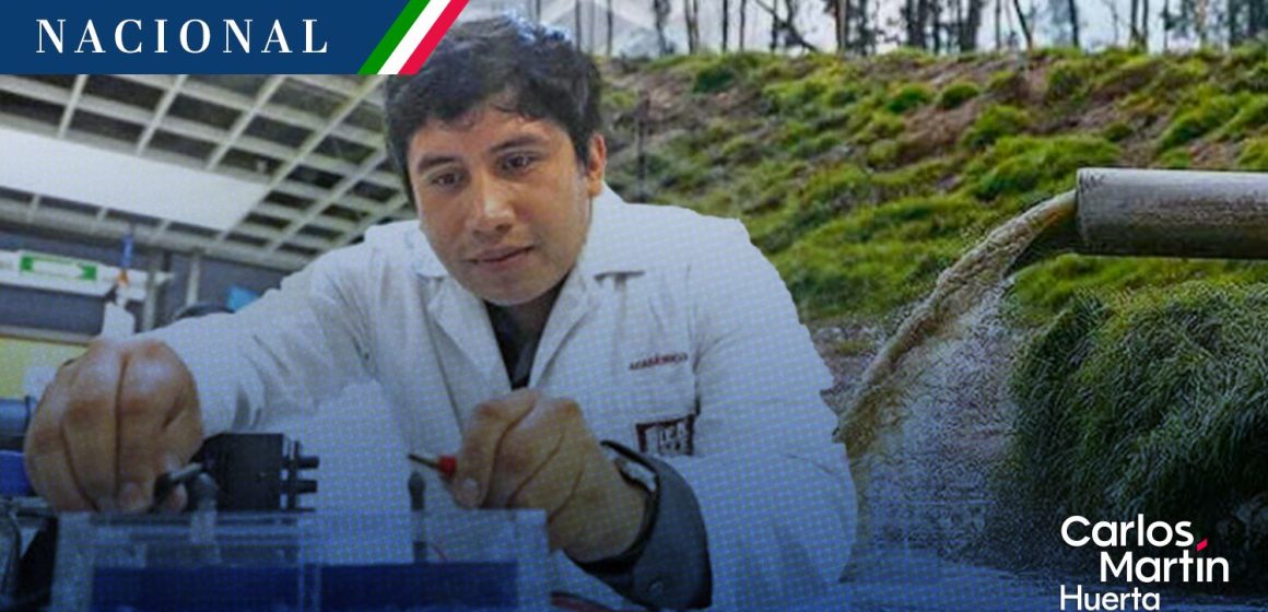 IPN desarrolla electrodos con sargazo para descontaminar aguas residuales