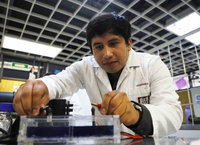 IPN desarrolla electrodos con sargazo para descontaminar aguas residuales