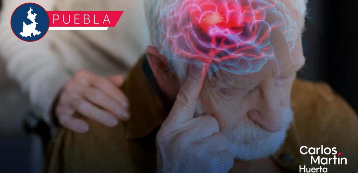 Investigan en la BUAP el deterioro neurocognitivo en adultos