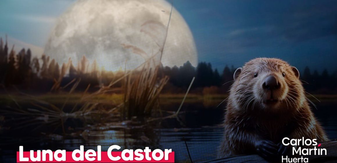 La Superluna del Castor 2025 será la más grande y brillante del año La Superluna del Castor 2025 será la más grande y brillante del año