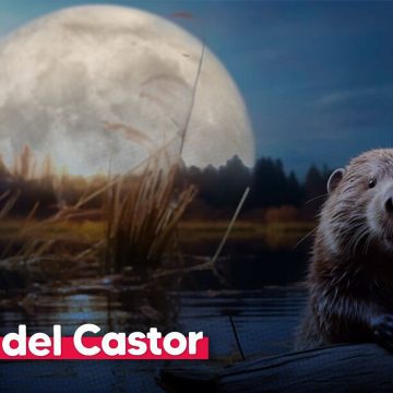 La Superluna del Castor 2025 será la más grande y brillante del año