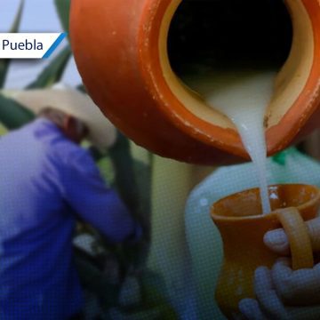 Palmar de Bravo invita a la Feria del Pulque y el Nopal Huehue ‘Mayahuel’ 2025