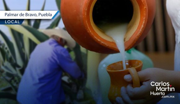 Palmar de Bravo invita a la Feria del Pulque y el Nopal Huehue ‘Mayahuel’ 2025