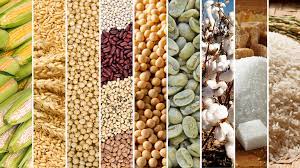 Crisis del campo provoca alzas en maíz, tortilla, café y azúcar: ANPEC 2 Productos de campo2