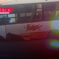 Ruta M28 choca contra árboles en Camino a Morillotla; conductor huye y deja unidad atravesada